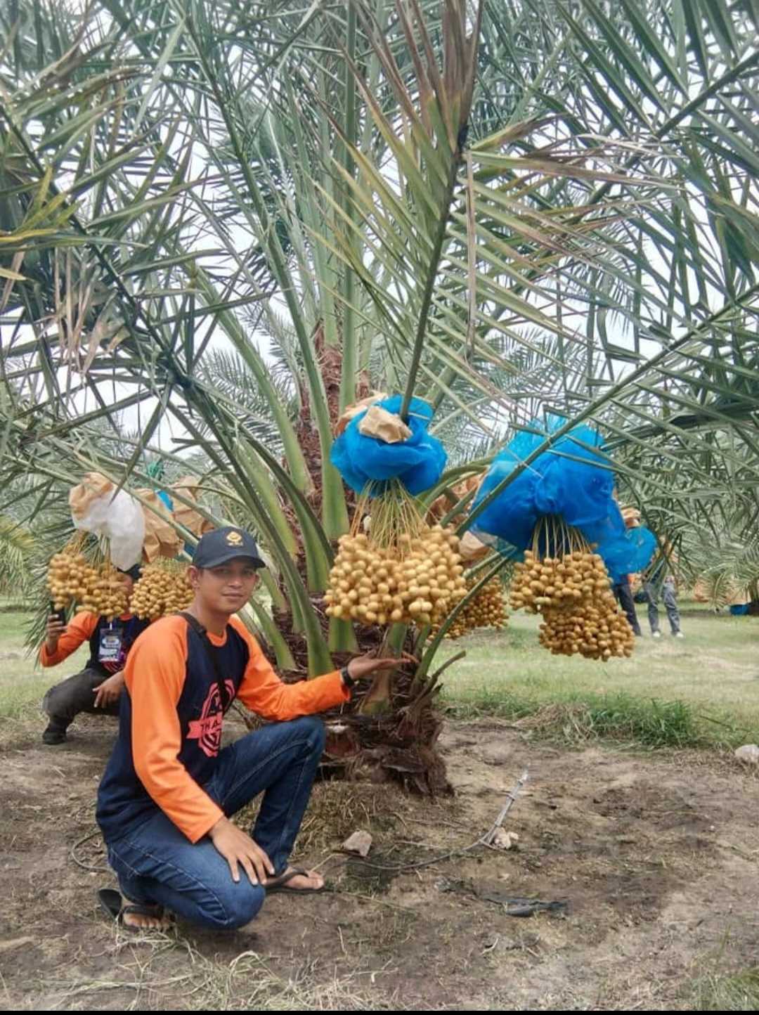 ULIL AKBAR SIIDDIQI SP