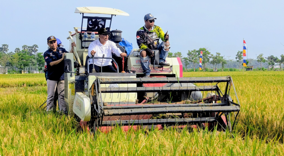 Gunakan Teknologi Pertanian, Petani Mojorembun Raup Untung Rp30 Juta per Hektare