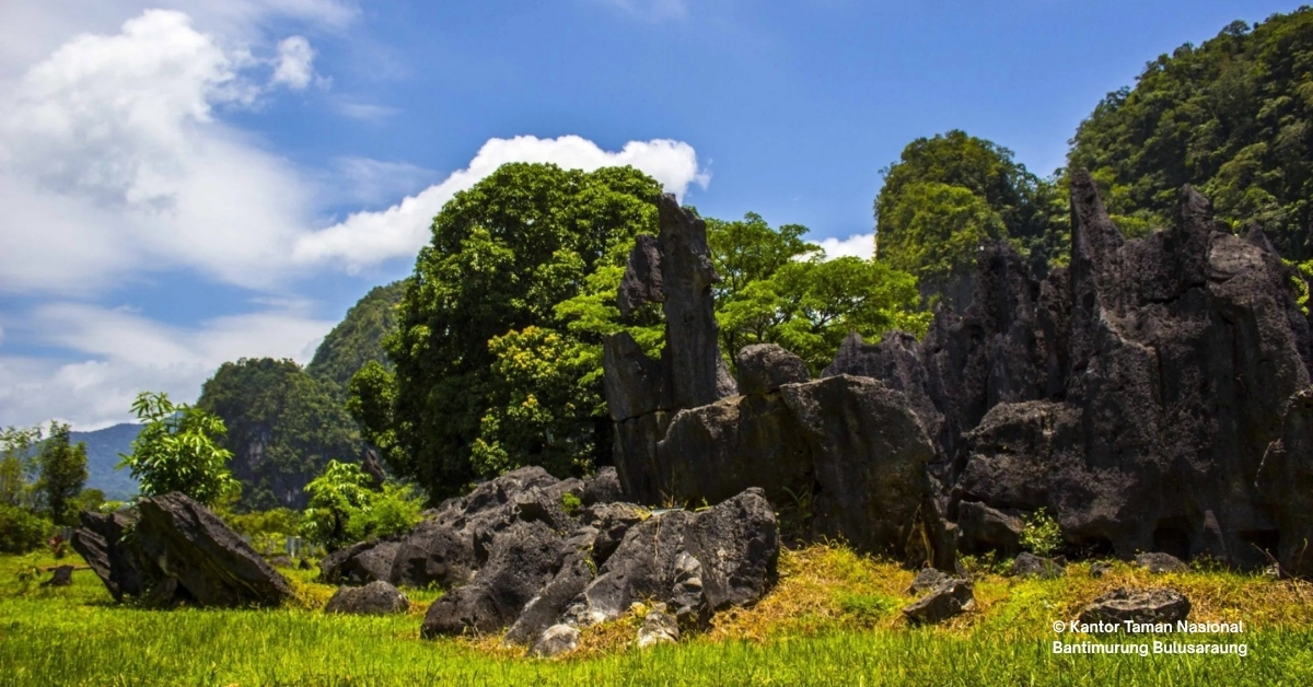 Lawan Spesies Invasif, Kemenhut dan FAO Luncurkan Proyek Konservasi Senilai Rp 74,6 Miliar